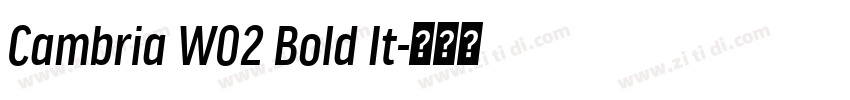 Cambria W02 Bold It字体转换